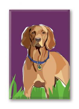 Magnet – Vizsla