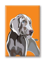 Magnet – Weimeraner Thumbnail