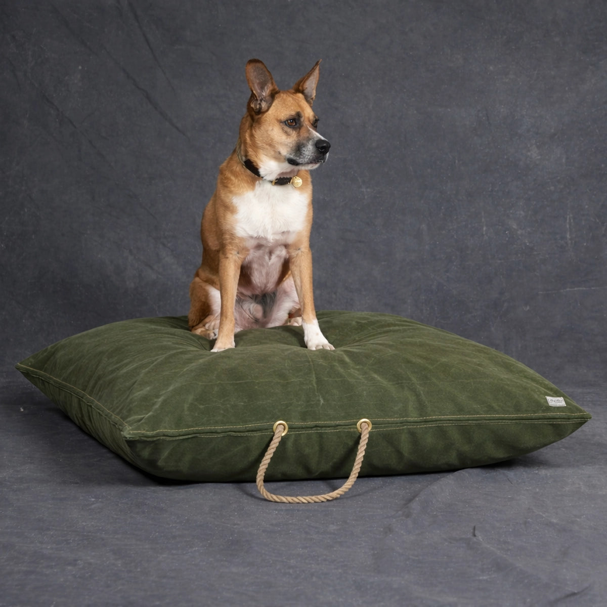 Waxed Canvas Dog Bed - Handmade in USA - Olive Green - (2 sizes)