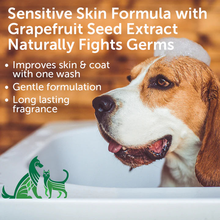Pet Shampoo - 16oz - Coconut Lime Scent