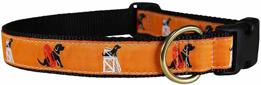 1.25” Ribbon Dog Collar – Guard Dog