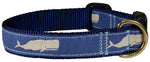 1” Ribbon Dog Collar – Moby Whale,  Blue Thumbnail