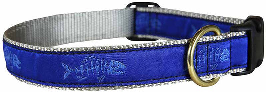 1” Ribbon Dog Collar – Rogue Fish,  Blue