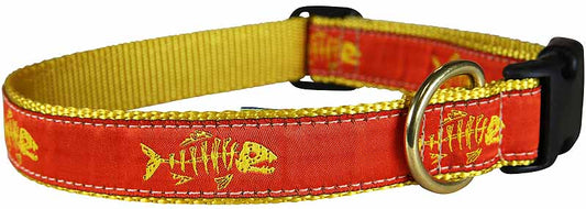 1” Ribbon Dog Collar – Rogue Fish,  Orange