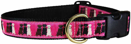 1” Ribbon Dog Collar – Three Labs,  Pink