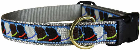 1” Ribbon Dog Collar – Who Wants Treats?