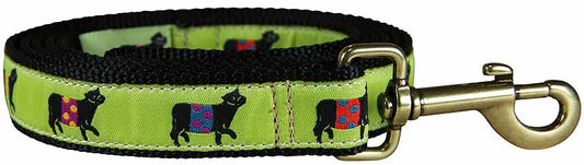 1” x 6ft Ribbon Dog Leash – Beltie, Lime