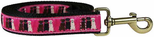 1.25” x 6ft Ribbon Dog Leash – Three Labs, Pink