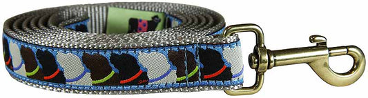 1.25” x 6ft Ribbon Dog Leash – Who Wants Treats?, Blue