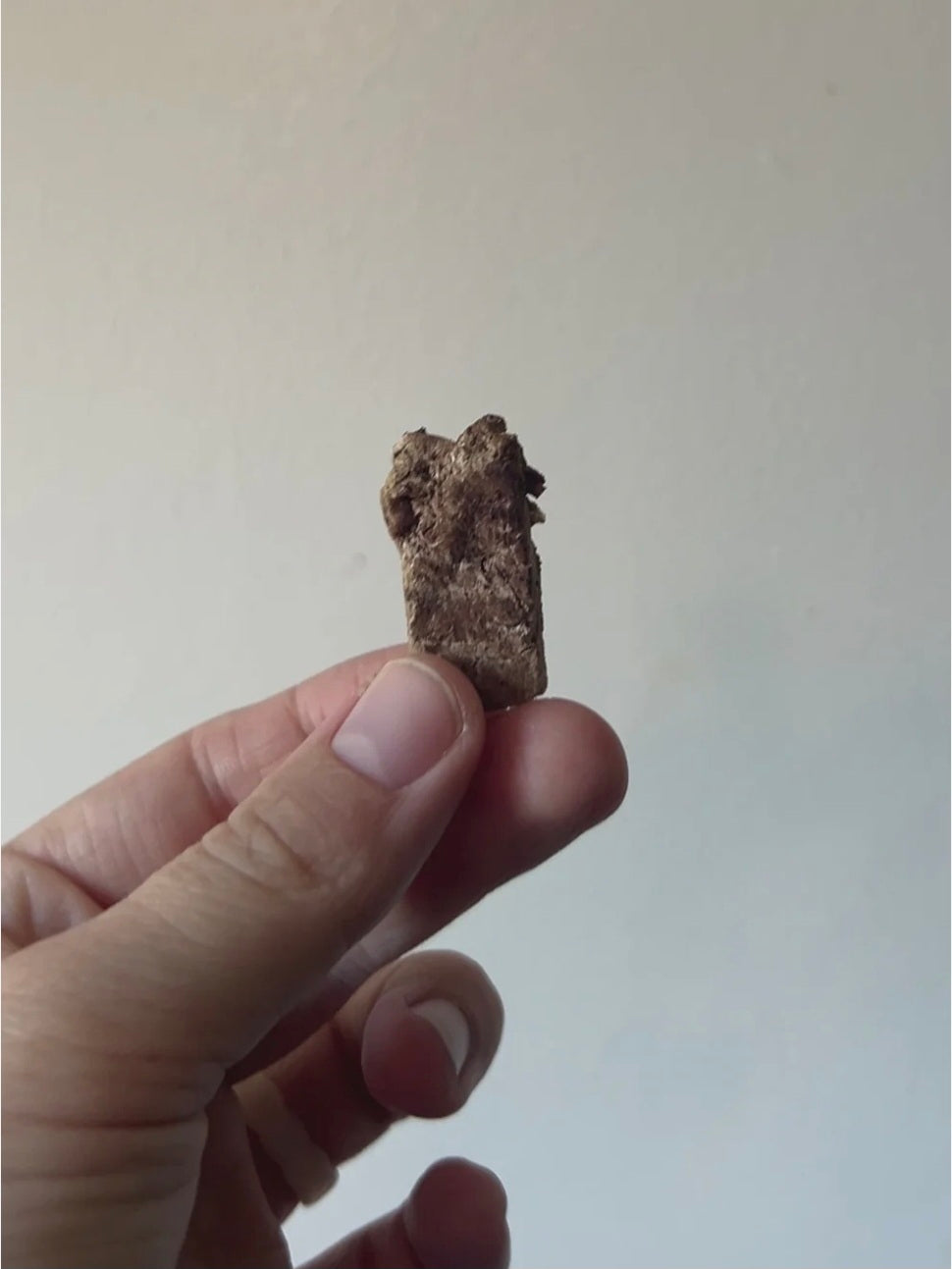 Freeze-Dried Beef Liver - 2.5oz