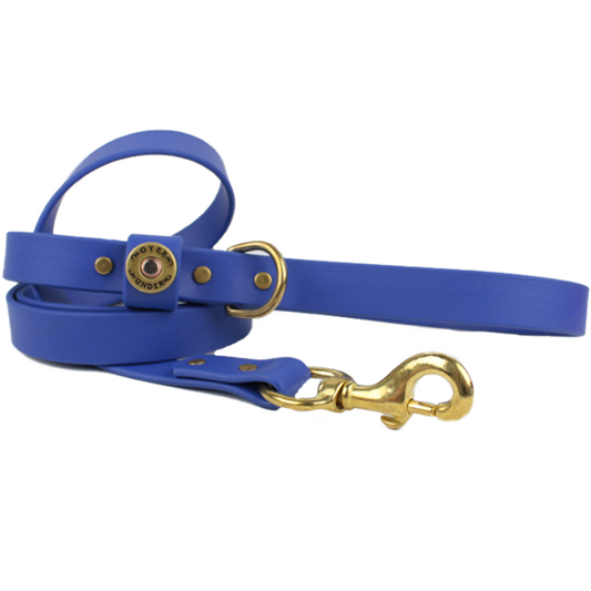 1" x 5ft Mudproof Dog Leash - Cobalt Blue