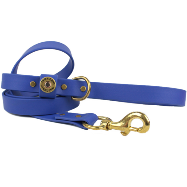 1" x 5ft Mudproof Dog Leash - Cobalt Blue