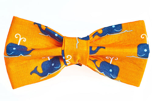 Dog Bow Tie - Blue Whales on Orange
