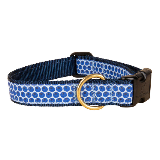 1" Ribbon Dog Collar - Blueberries