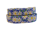 1” x 5ft  Ribbon Dog Leash – Daisies, Blue Thumbnail