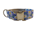 1.5” Ribbon Dog Collar – Daisy, Blue Thumbnail