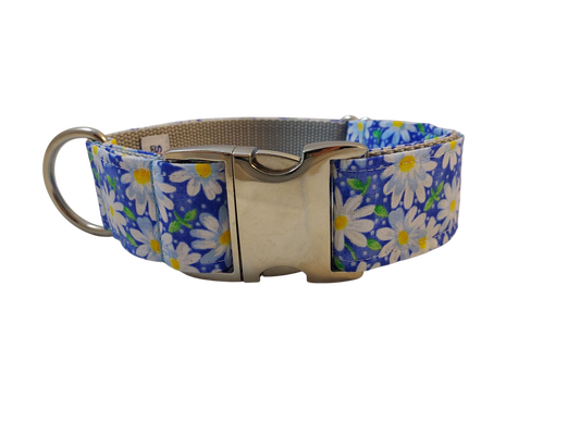 1.5” Ribbon Dog Collar – Daisy, Blue
