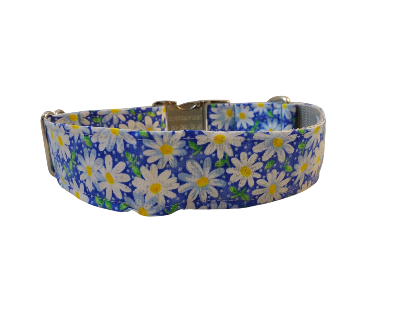 1.5” Ribbon Dog Collar – Daisy, Blue