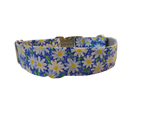 1.5” Ribbon Dog Collar – Daisy, Blue Thumbnail