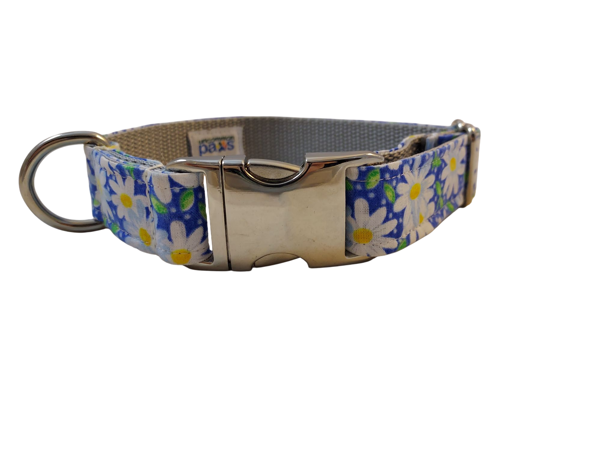 3/4” Ribbon Dog Collar – Daisy, Blue