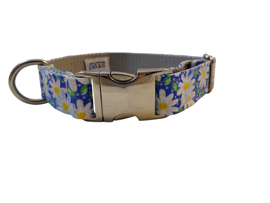3/4” Ribbon Dog Collar – Daisy, Blue