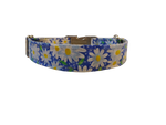 3/4” Ribbon Dog Collar – Daisy, Blue Thumbnail
