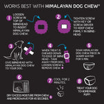 Dog Treat Toy - Bonehead Thumbnail