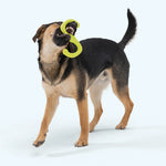 Dog Tug Toy - Bumi Thumbnail
