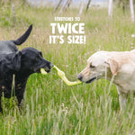 Dog Tug Toy - Bumi Thumbnail