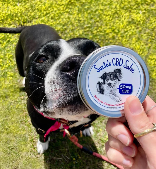 CBD Salve - 1oz