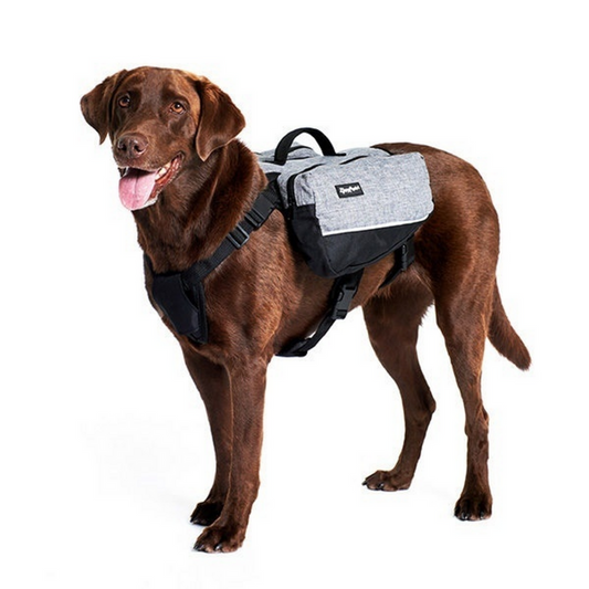Dog Backpack – Grey