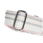 1” Sailcloth Dog Collar - White w/ Blue Stitching Thumbnail