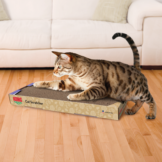 CLEARANCE - Kong Naturals - Cat Scratcher - Small - Made in USA