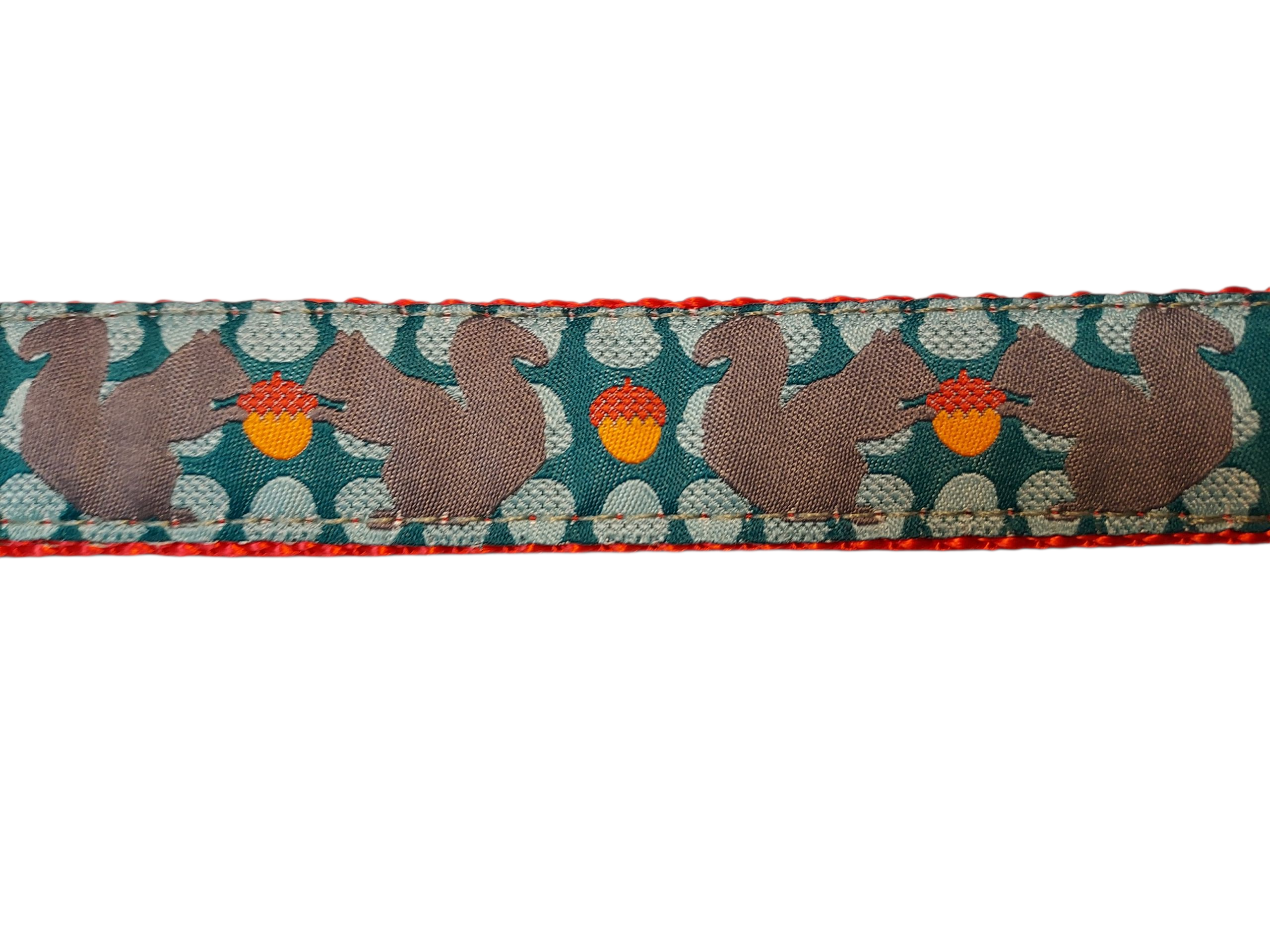 1” x 6ft Ribbon Dog Leash – Squirrelly