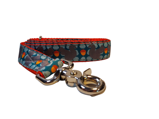 1” x 6ft Ribbon Dog Leash – Squirrelly