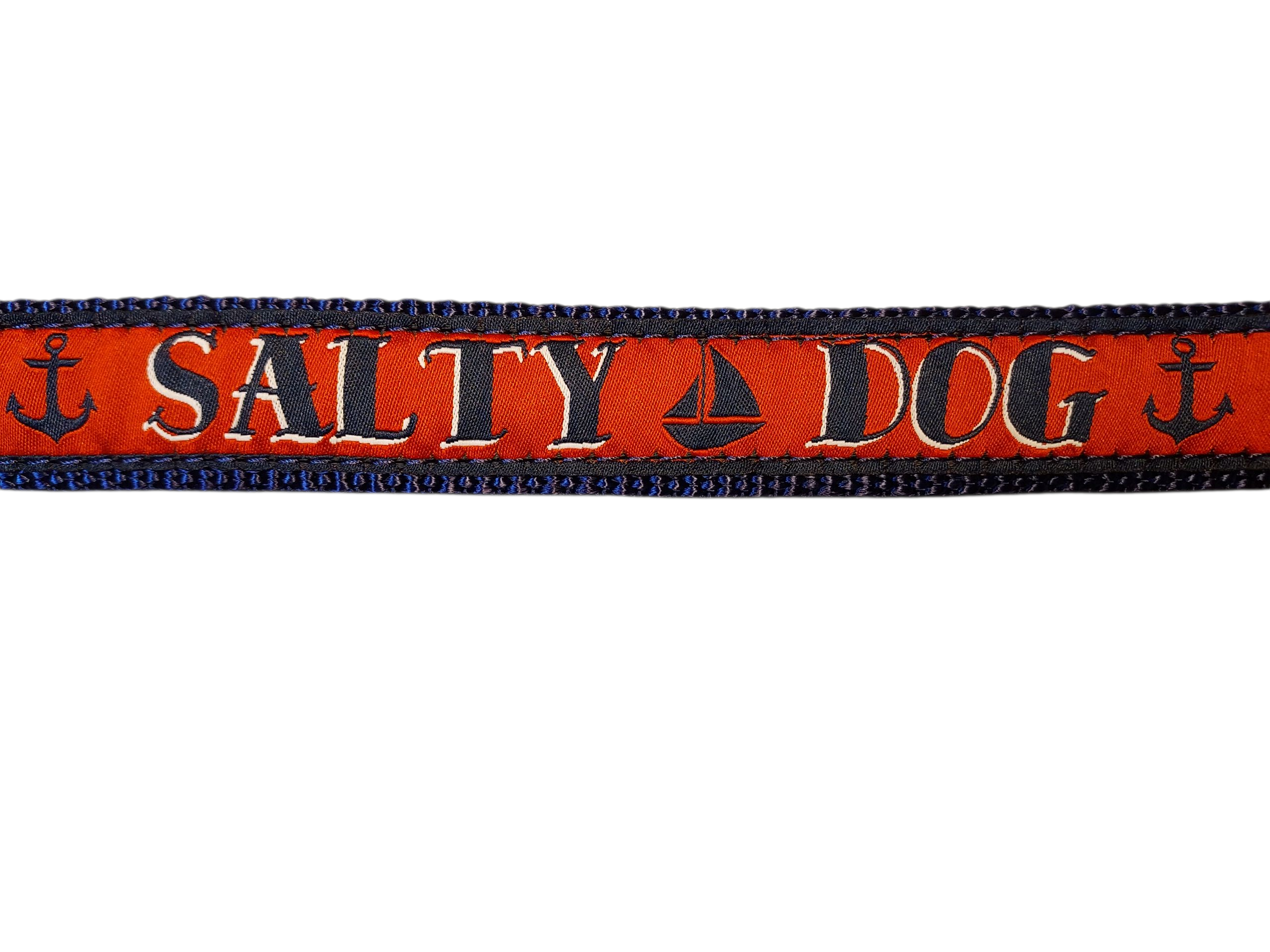 1” x 6ft Ribbon Dog Leash – Salty Dogs