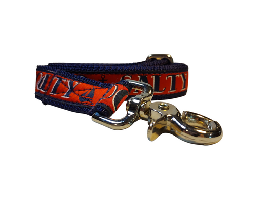 1” x 6ft Ribbon Dog Leash – Salty Dogs