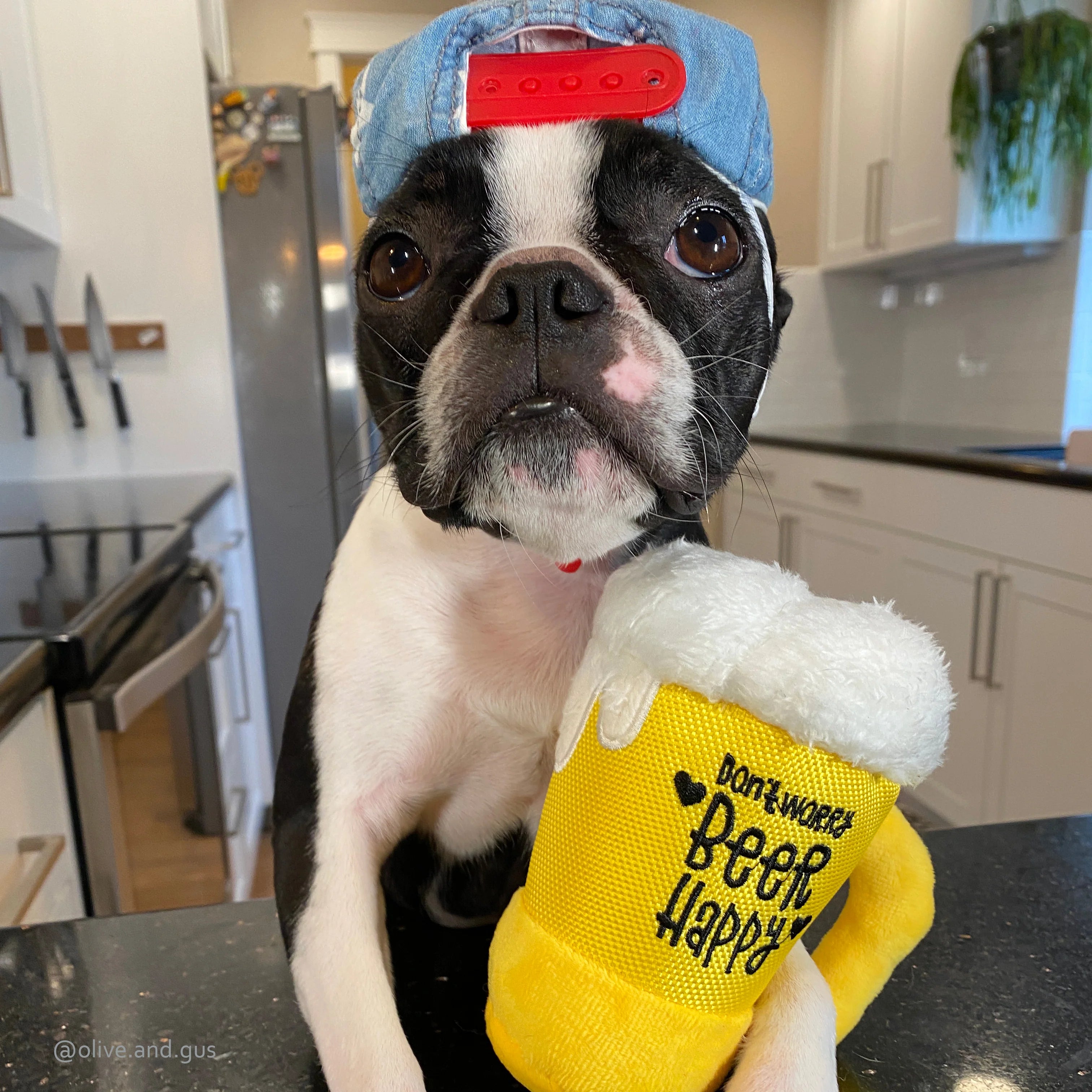 Stuffed Dog Toy - Plush Beer Mug