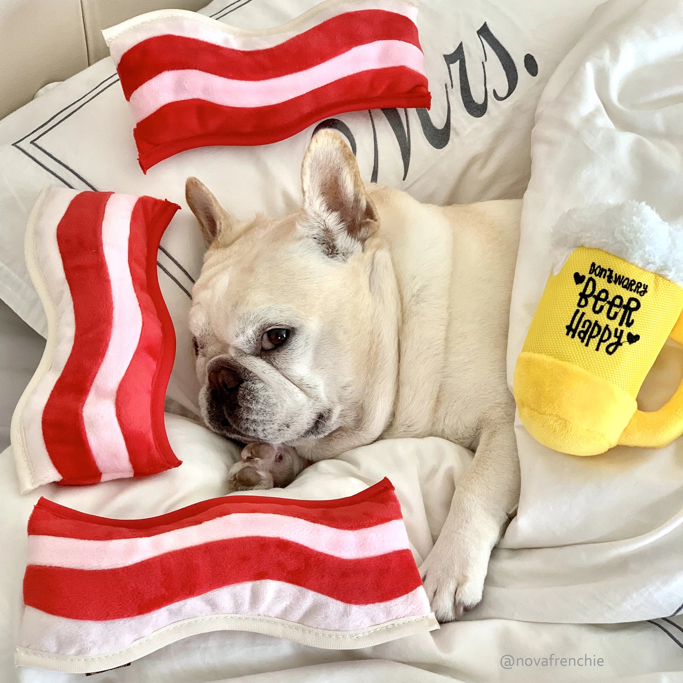 Stuffed Dog Toy - Plush Beer Mug