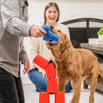 West Paw Interactive Dog Game - The Dog's Best Friend Game Thumbnail