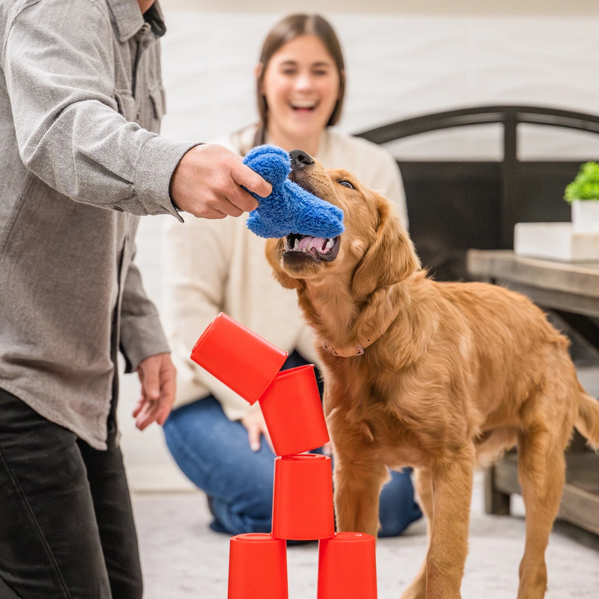 West Paw Interactive Dog Game - The Dog's Best Friend Game