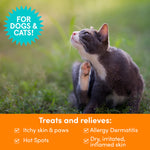 Anti-Itch Dog Shampoo - 8oz Thumbnail