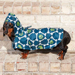 Dog Poncho - Dog Bones and Pawprints Thumbnail