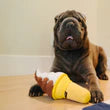 Stuffed Dog Toy - Ice Cream Cone Thumbnail