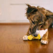 Stuffed Dog Toy - Ice Cream Cone Thumbnail