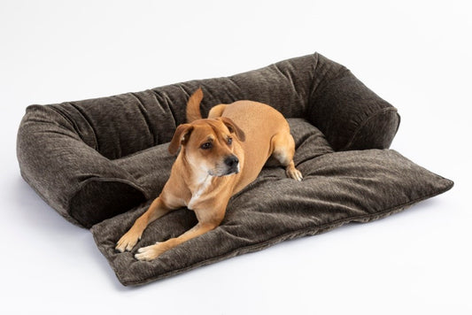 Doggy Daybed
