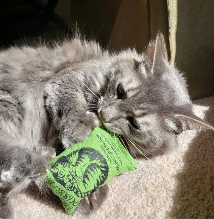 Catnip Toy – Large Sack o' Nip