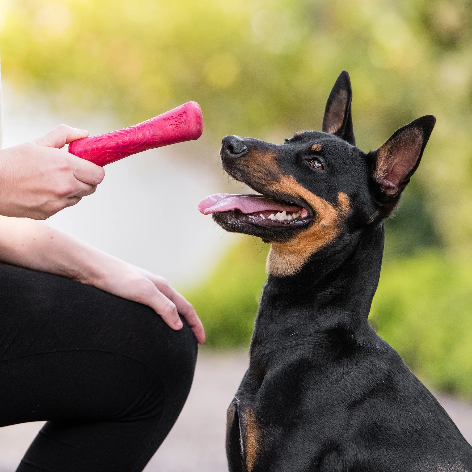 Dog Chew Toy - Drifty