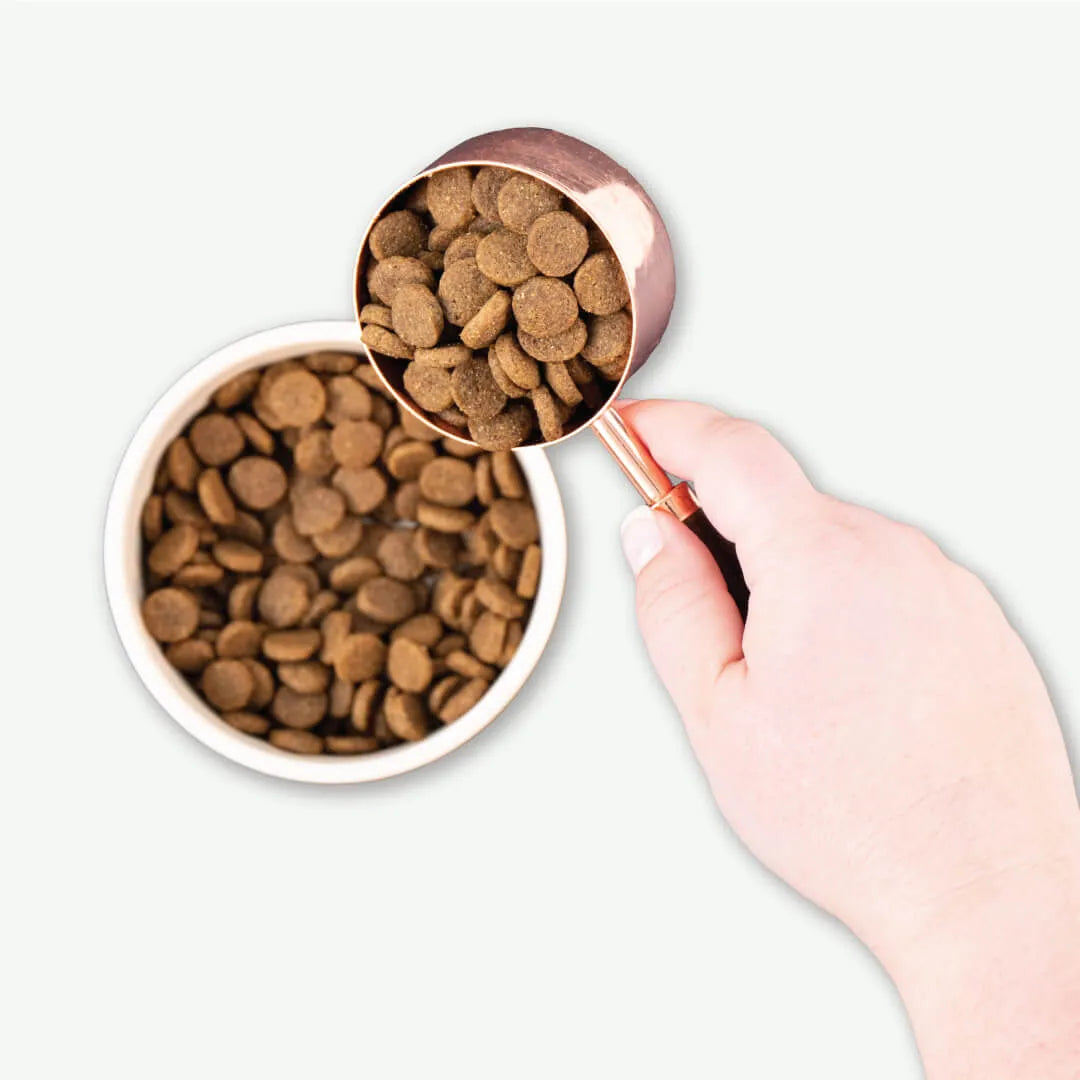 Earthborn Dry Dog Food - Great Plains Feast