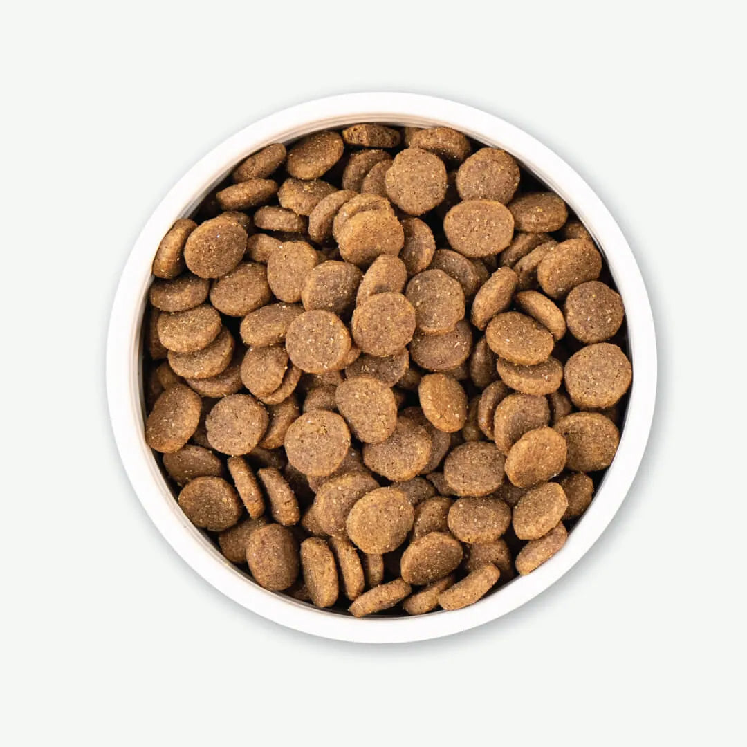 Earthborn Dry Dog Food - Great Plains Feast